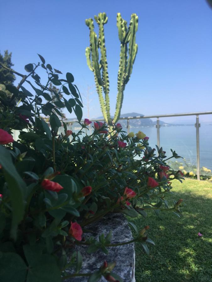 Villa Evita Mesongí Dış mekan fotoğraf