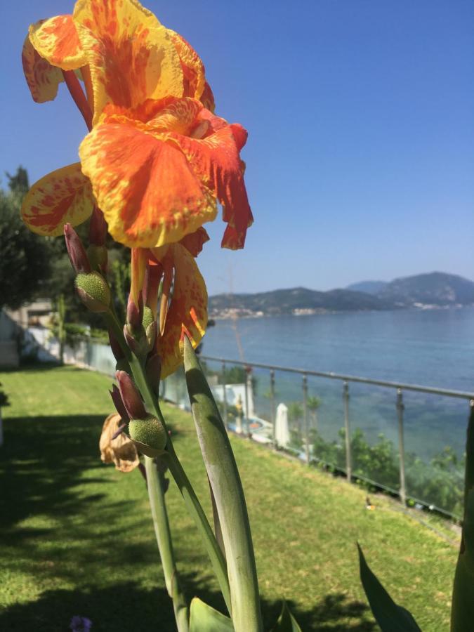 Villa Evita Mesongí Dış mekan fotoğraf