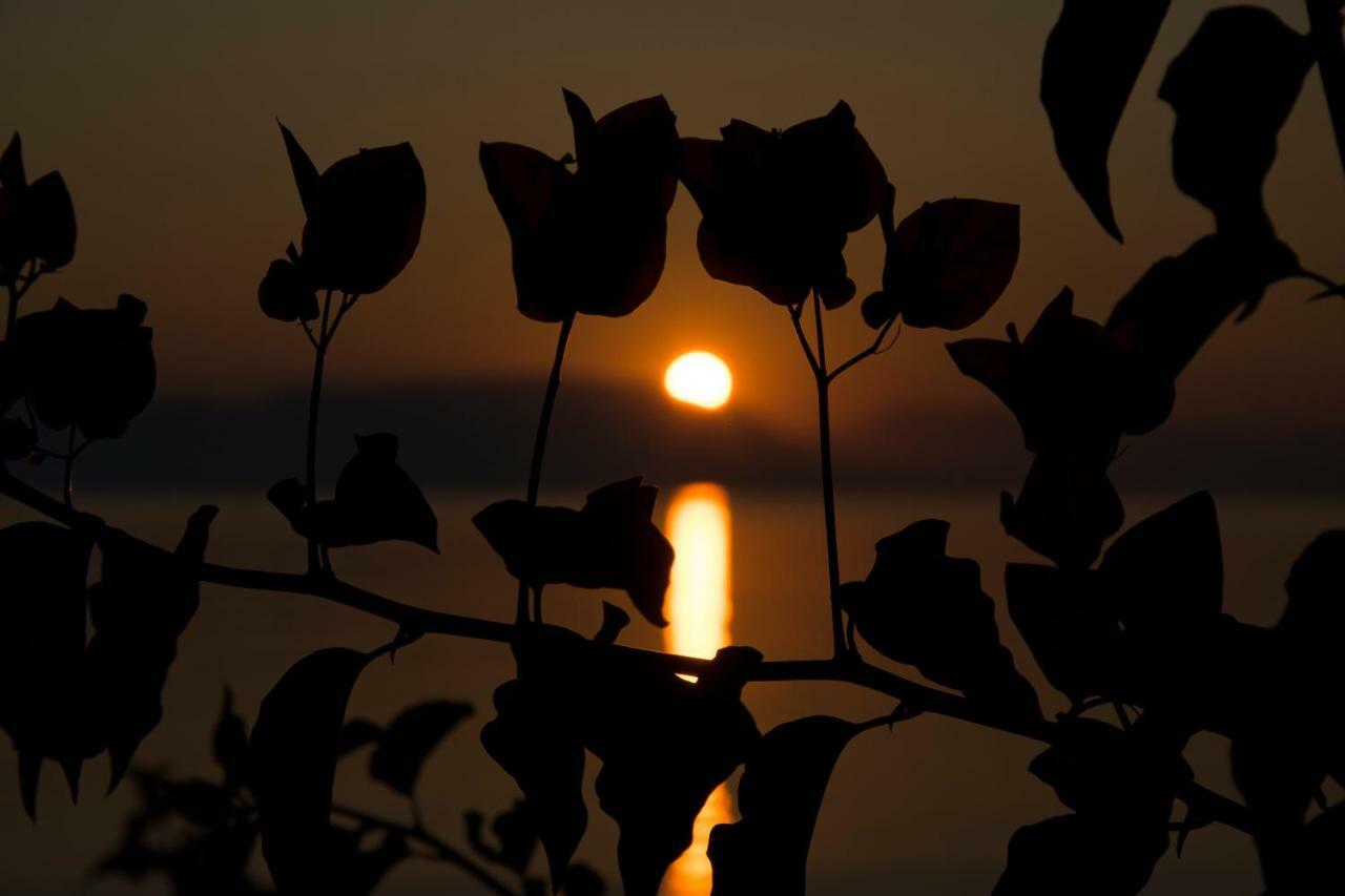 Villa Evita Mesongí Dış mekan fotoğraf